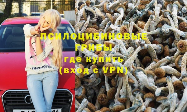 Альфа ПВП Алексин